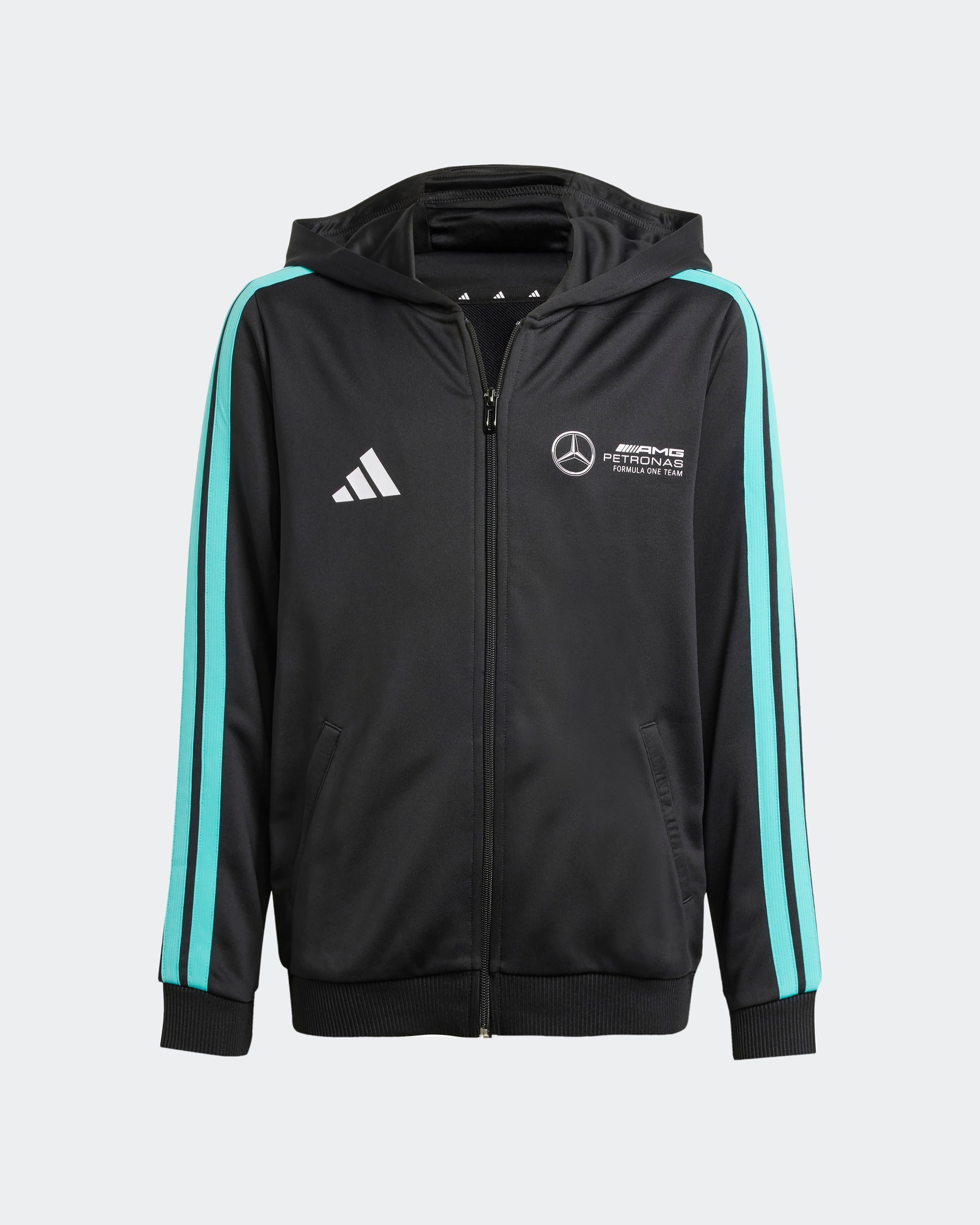 Kids DNA Full-Zip Hoody Black — primary product view showing Mercedes-AMG PETRONAS F1 styling and product details | Dash Racegear