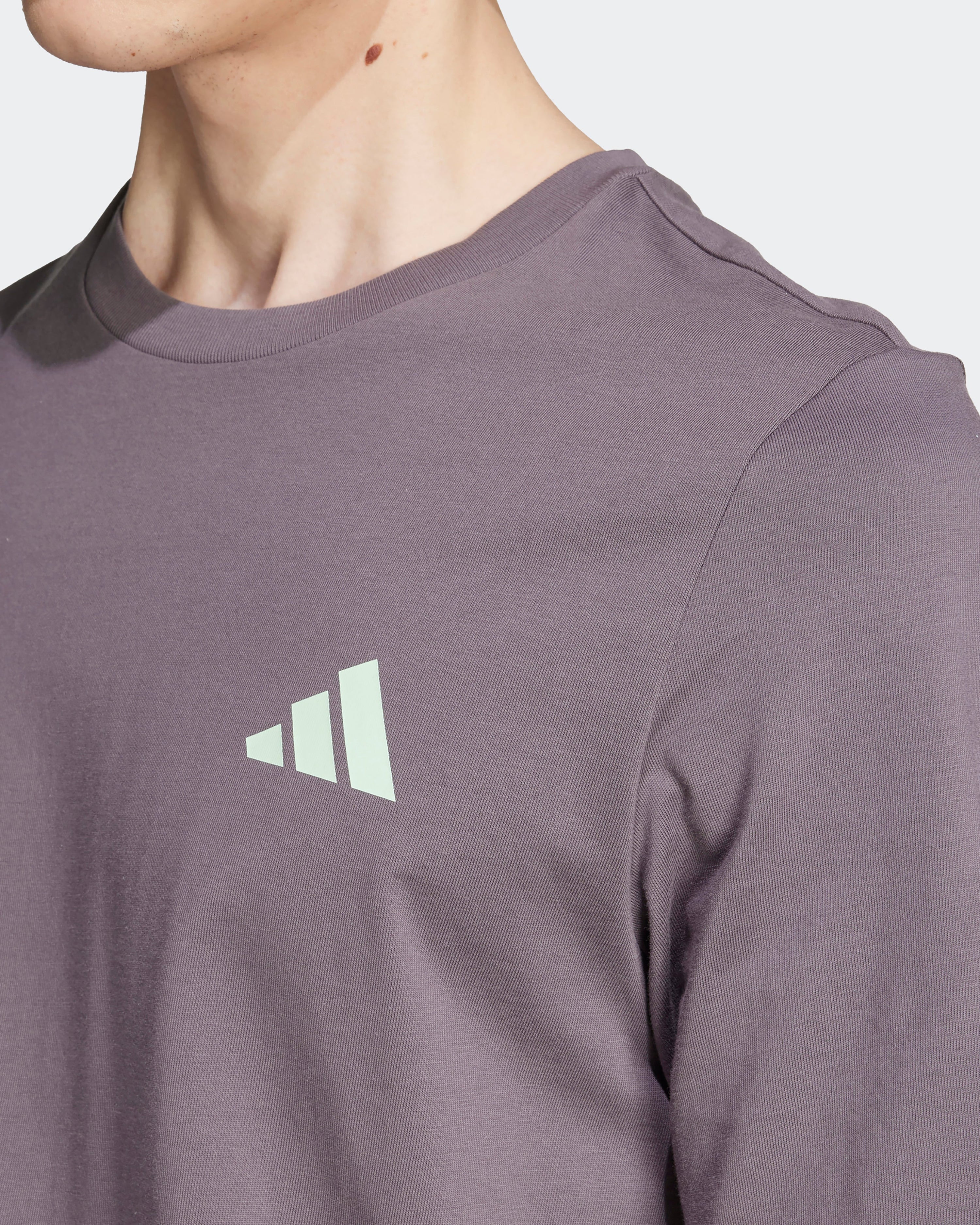 Mens Premium Woven Graphic T-Shirt Grey — additional product detail showing Mercedes-AMG PETRONAS F1 styling and product details | Dash Racegear