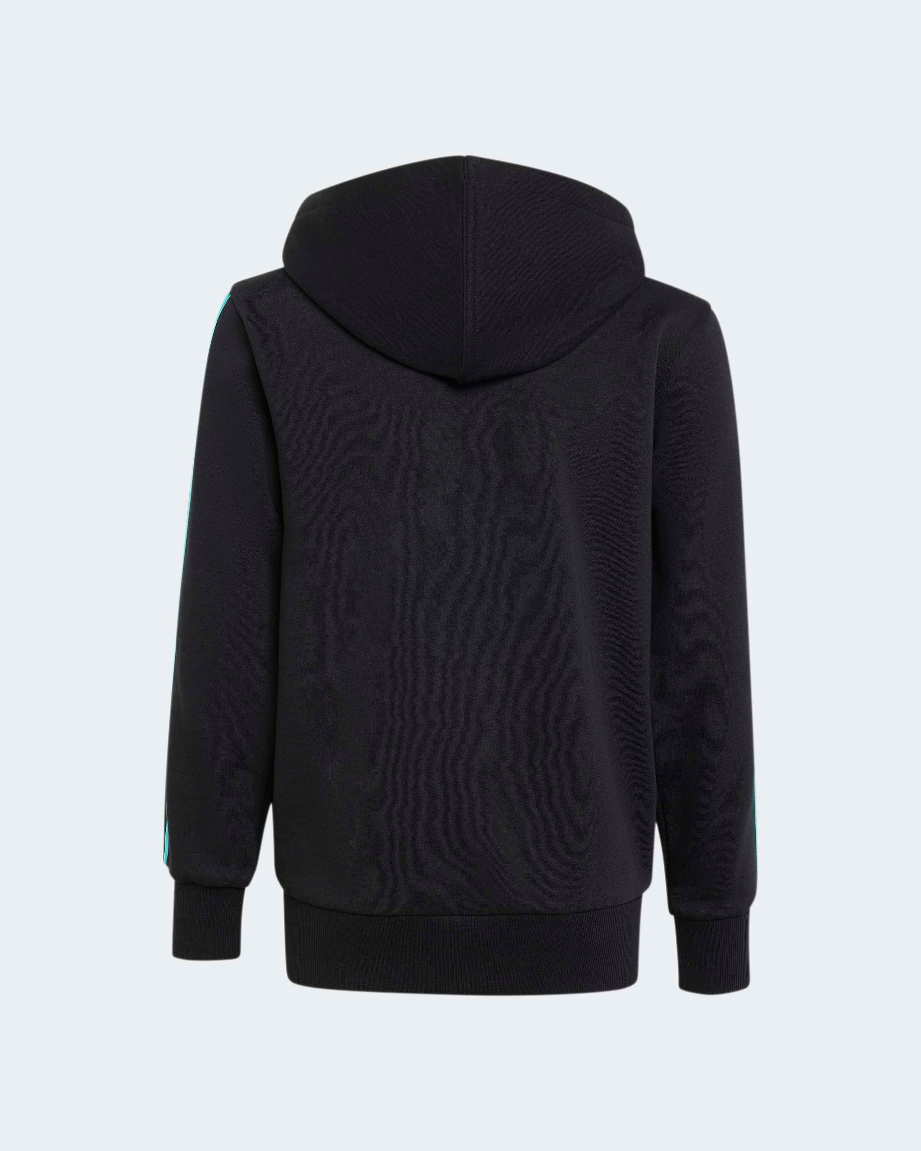 Kids DNA Full-Zip Hoody Black — alternate product angle showing Mercedes-AMG PETRONAS F1 styling and product details | Dash Racegear