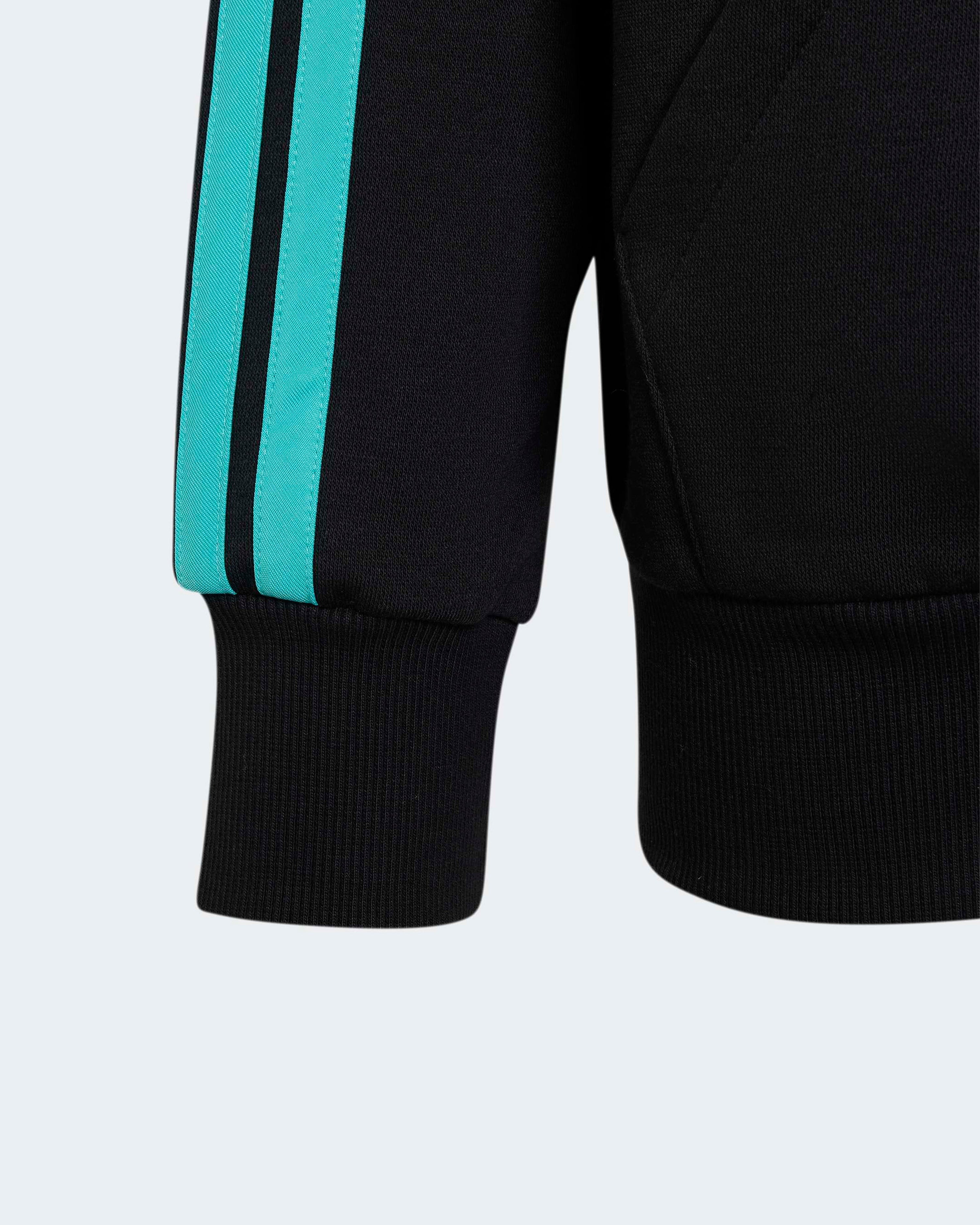 Kids DNA Full-Zip Hoody Black — close-up design detail showing Mercedes-AMG PETRONAS F1 styling and product details | Dash Racegear