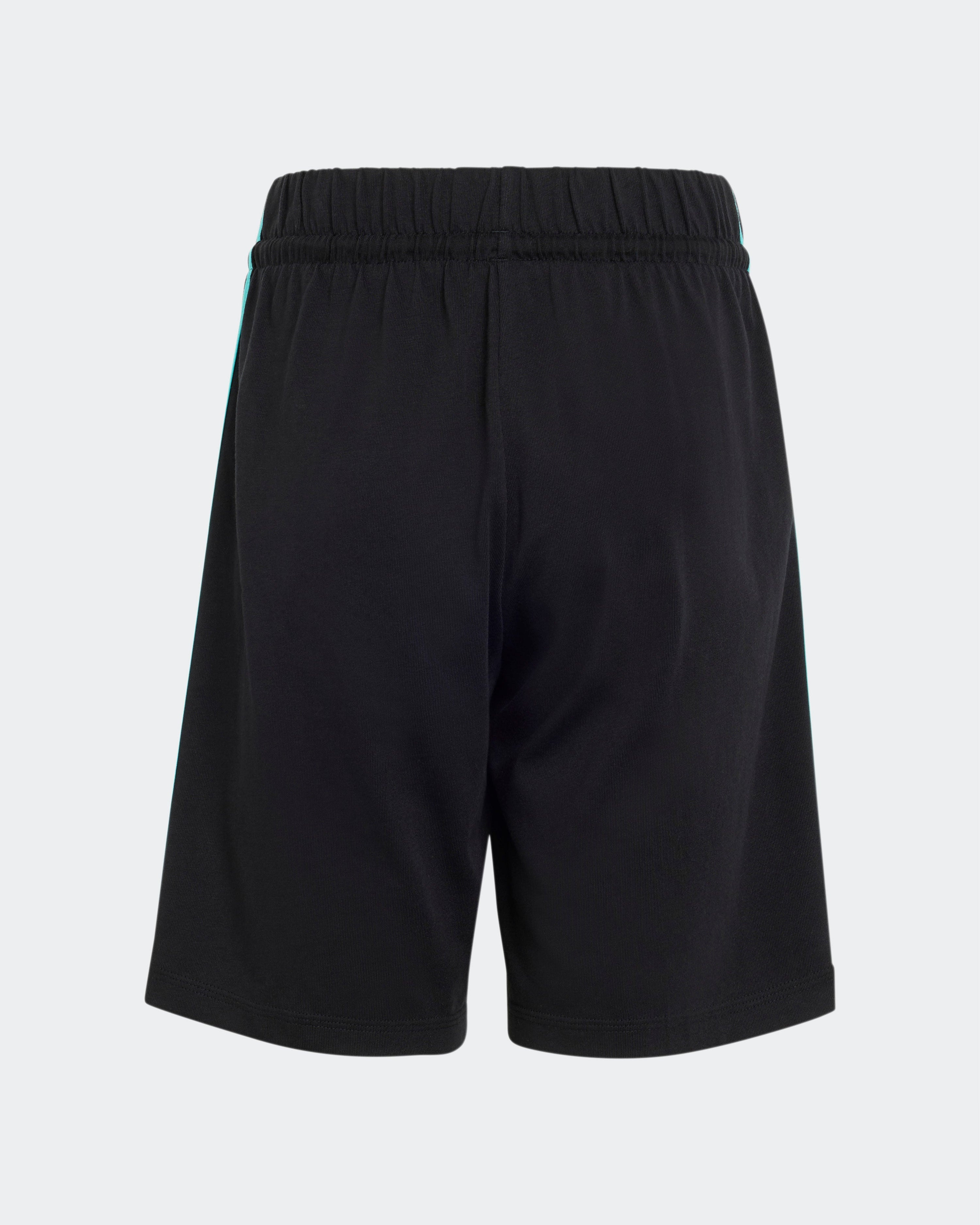 Kids DNA Shorts Black — primary product view showing Mercedes-AMG PETRONAS F1 styling and product details | Dash Racegear