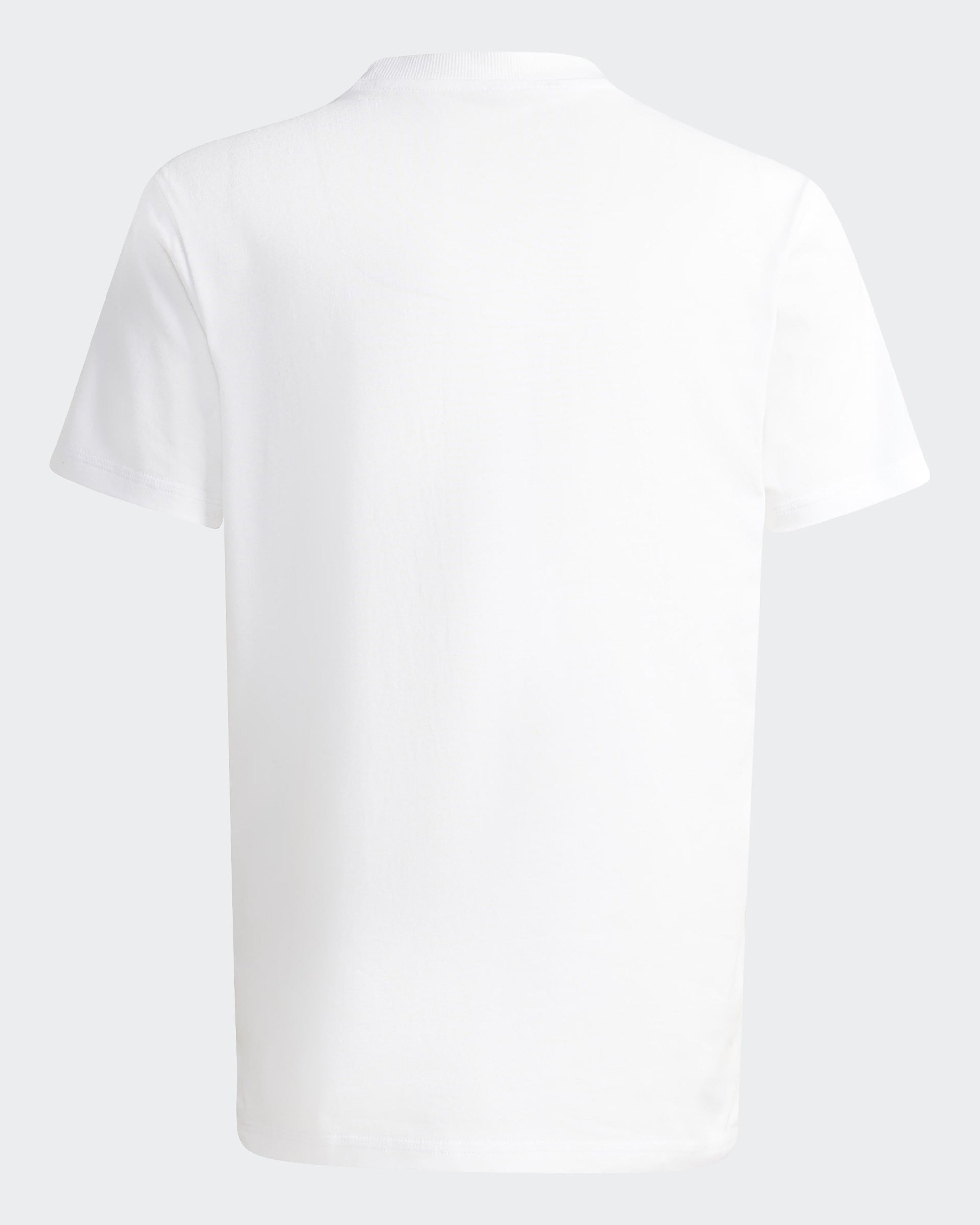 Kids Champions Graphic T-shirt White — alternate product angle showing Mercedes-AMG PETRONAS F1 styling and product details | Dash Racegear
