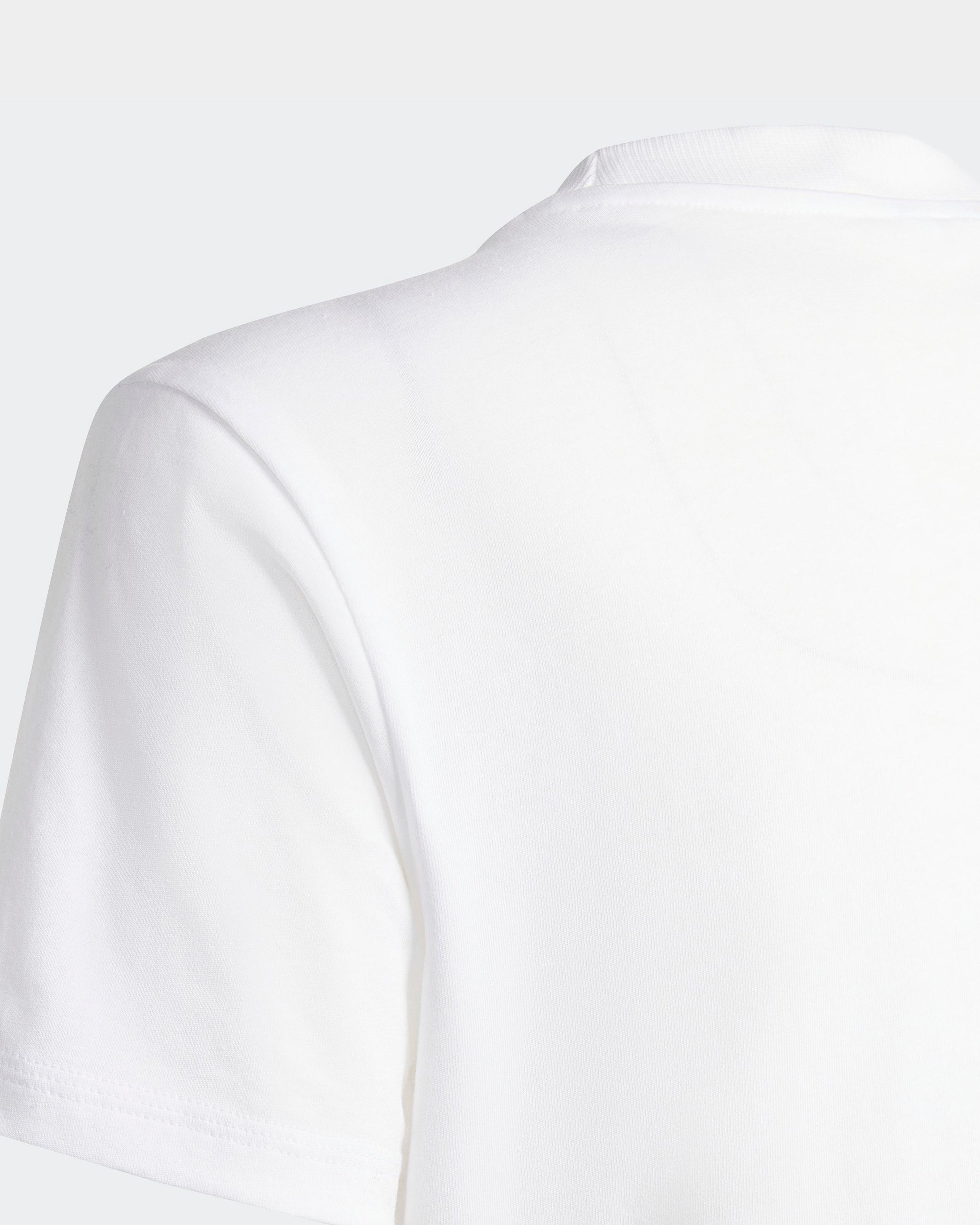 Mens Champions Graphic T-shirt White — additional product detail showing Mercedes-AMG PETRONAS F1 styling and product details | Dash Racegear