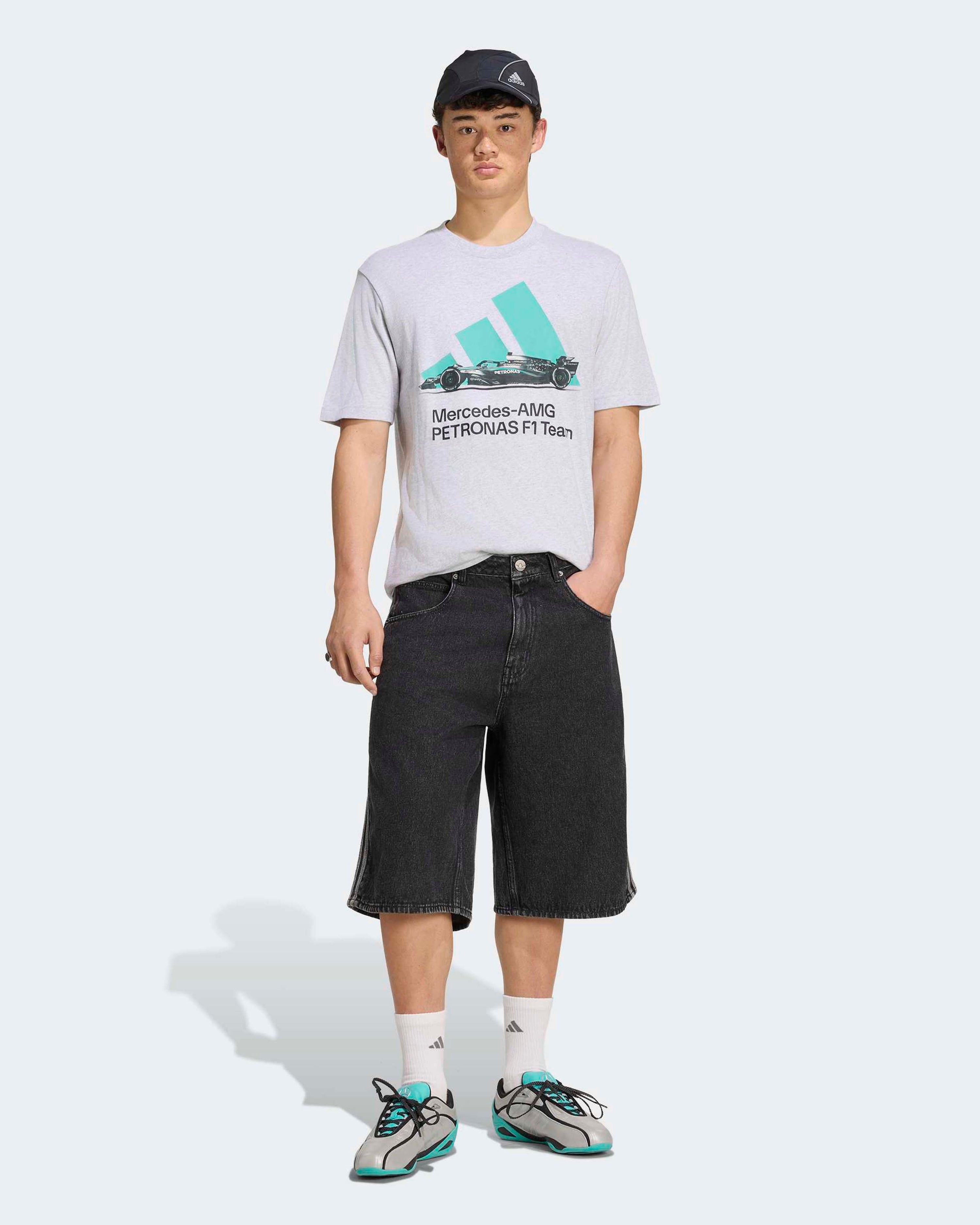 Mens Graphic T-shirt Grey — close-up design detail showing Mercedes-AMG PETRONAS F1 styling and product details | Dash Racegear