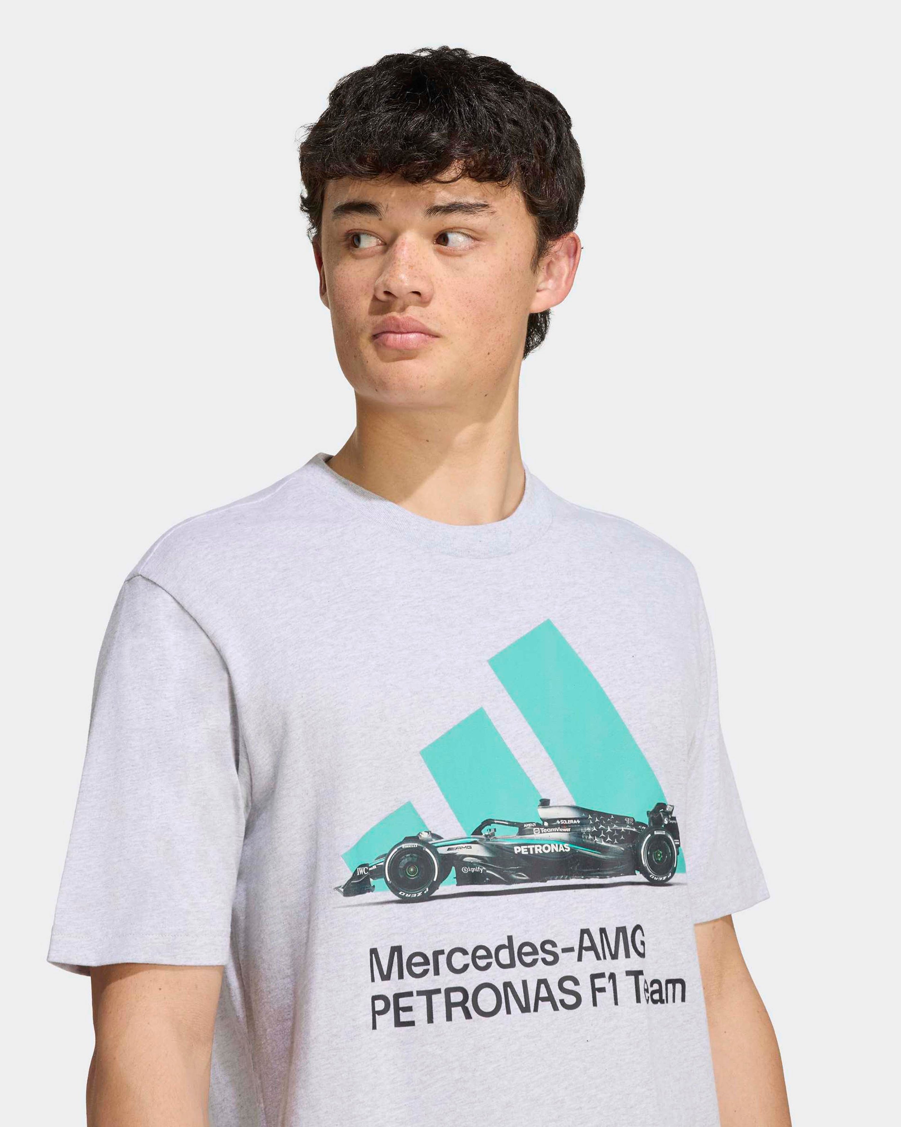 Mens Graphic T-shirt Grey — additional product detail showing Mercedes-AMG PETRONAS F1 styling and product details | Dash Racegear