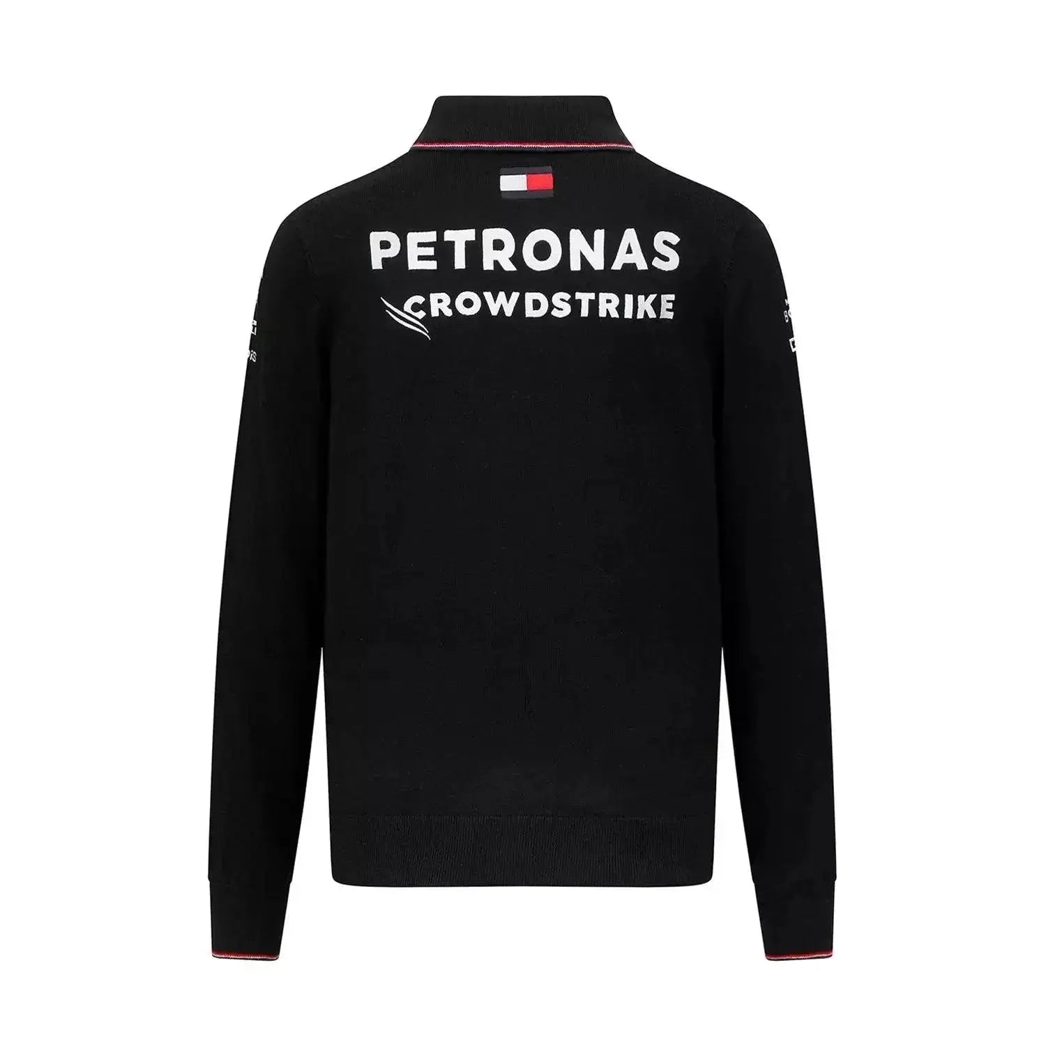 Mercedes-AMG Petronas 2023 Team Longsleeve Polo image 2