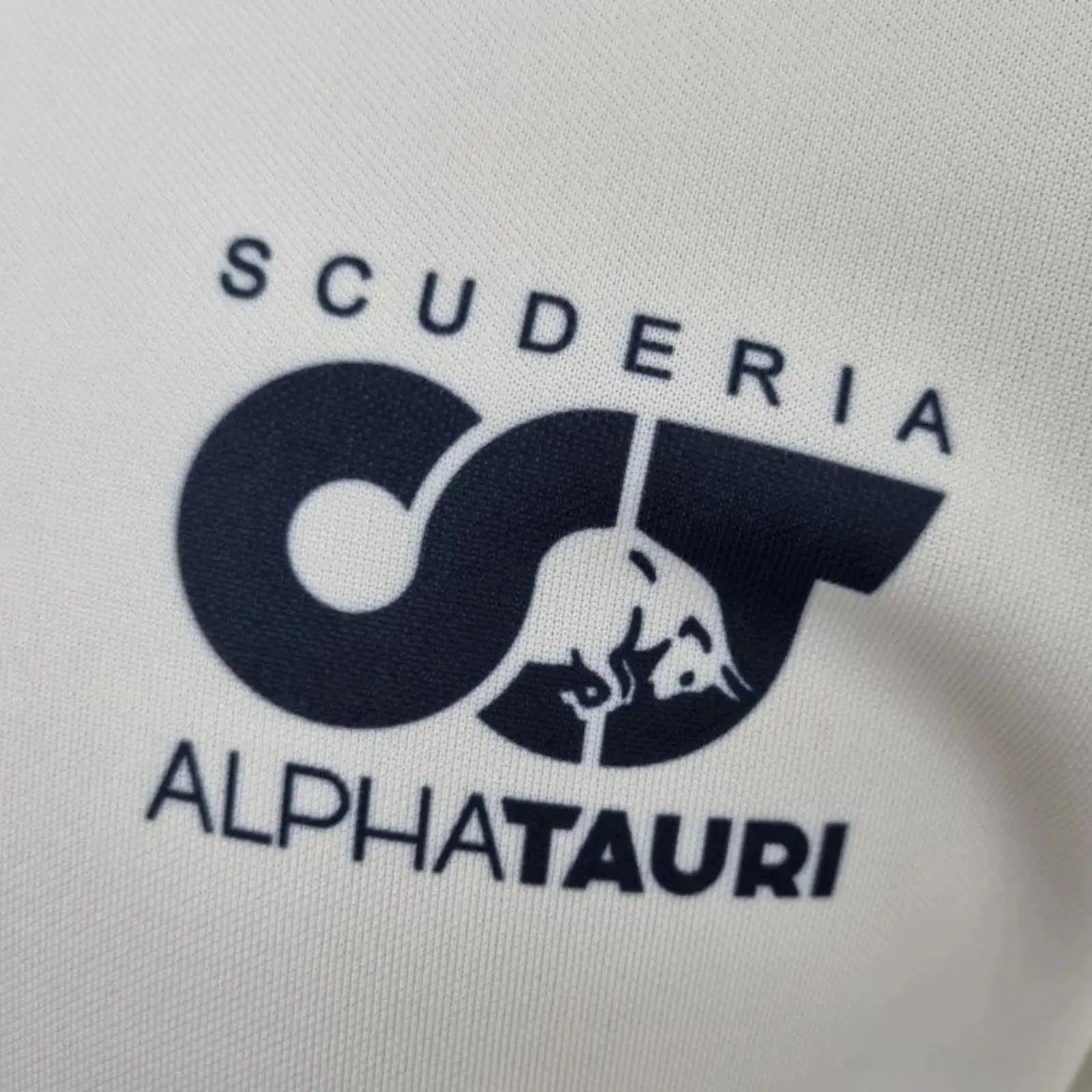 2022 ALPHATAURI Formula One Polo Shirt image 6