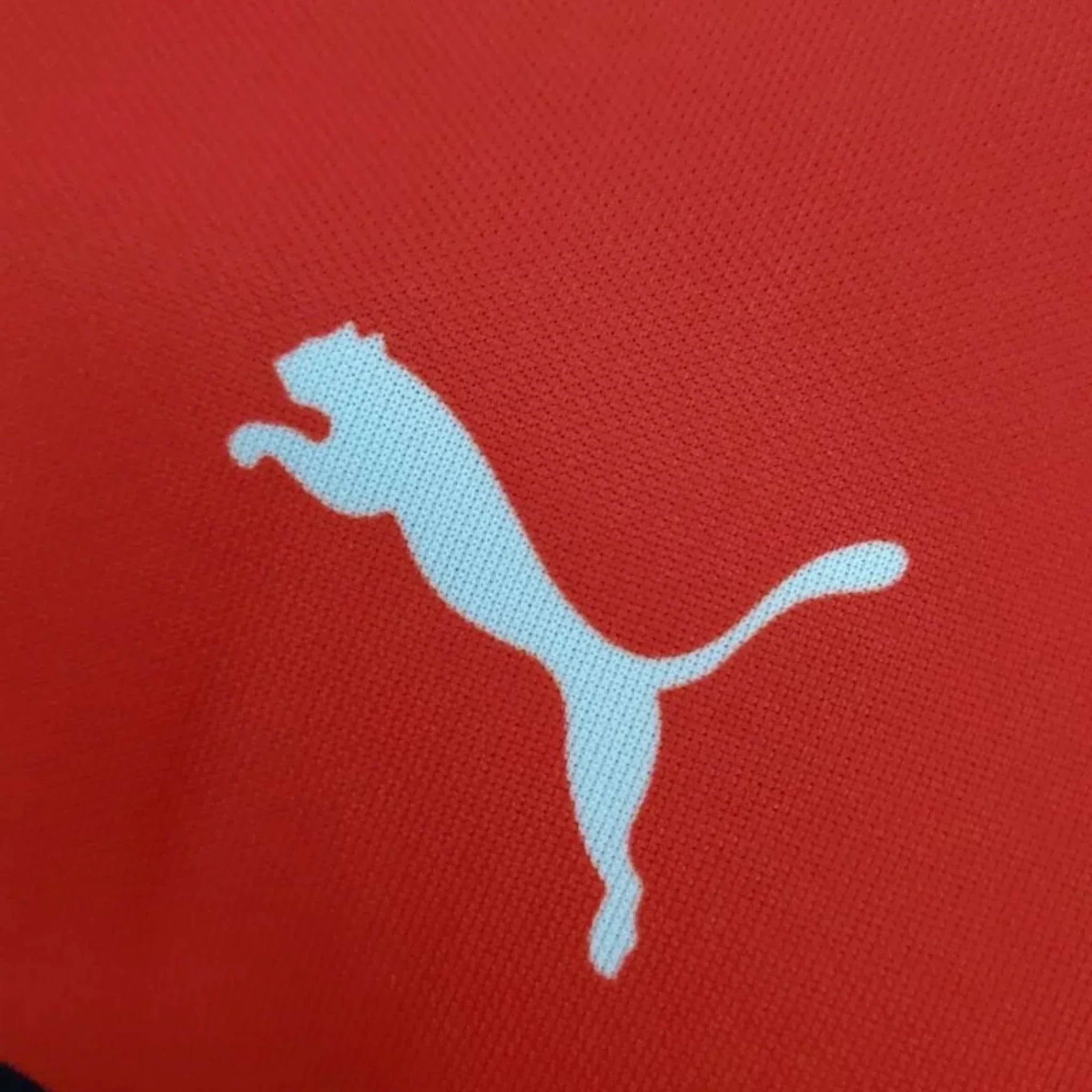 2022 new ferrari charles leclecr f1 racing t shirt 2022 New Ferrari Charles Leclecr F1 Racing T-Shirt DASH RACEGEAR